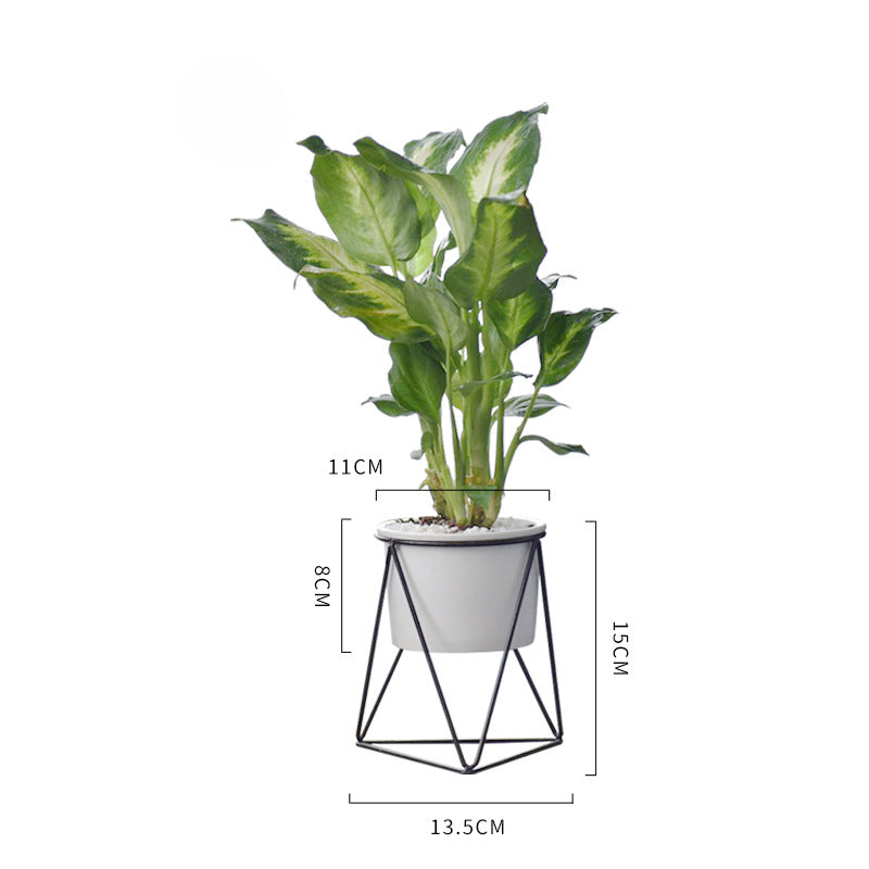 Modern White Plant Pot with Triangular Stand