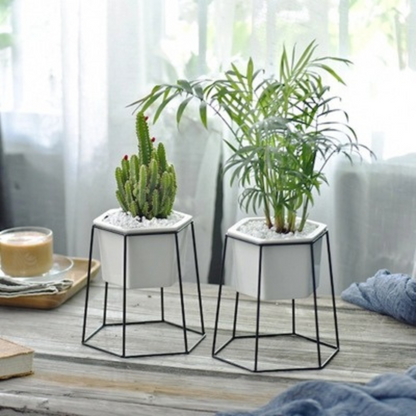 Modern White Plant Pot with Black Hexagonal Stand